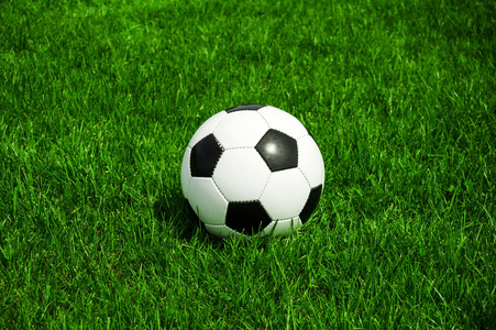 任选9场奖金预测专业数据分析