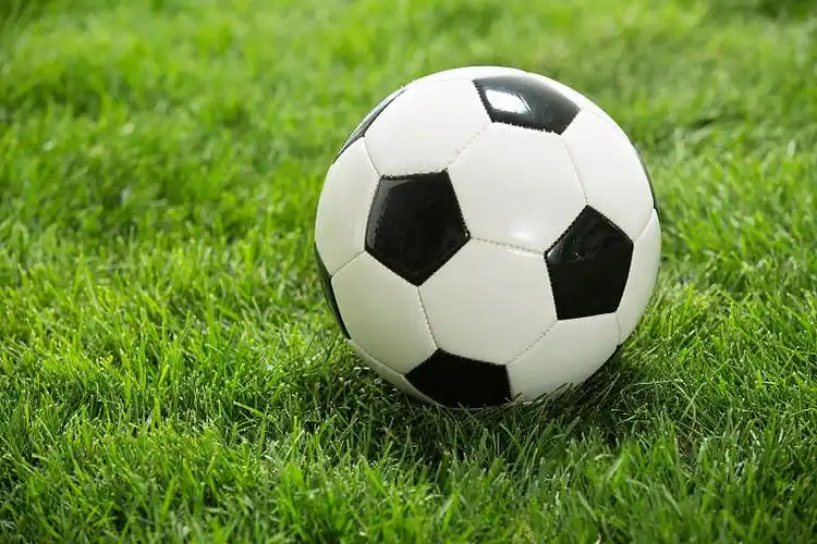 任选9场奖金预测数据分析界面